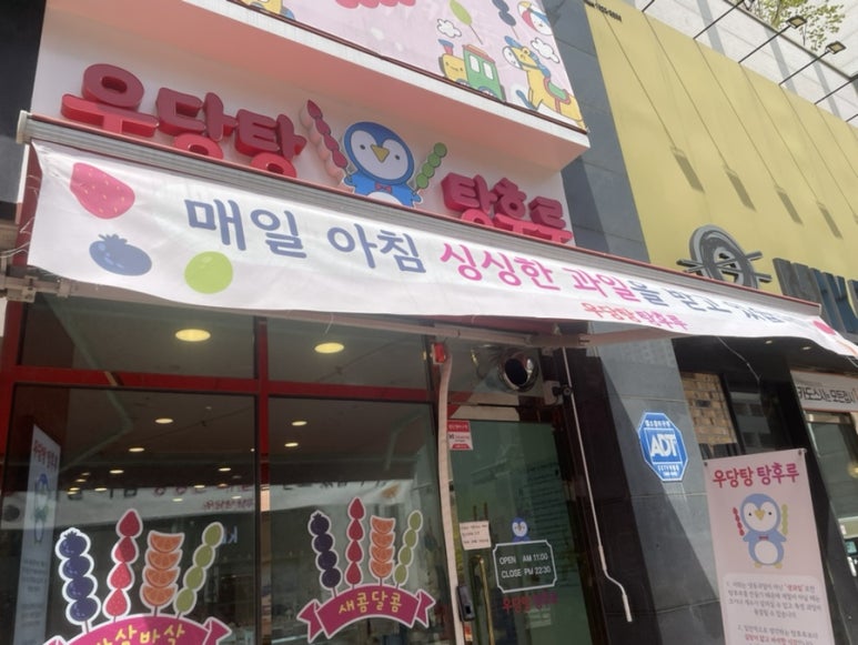 일루스터플라워 이미지