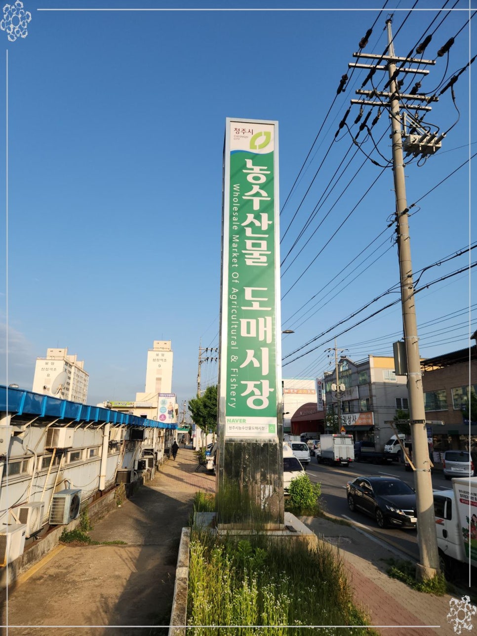 총각네야채마트 이미지