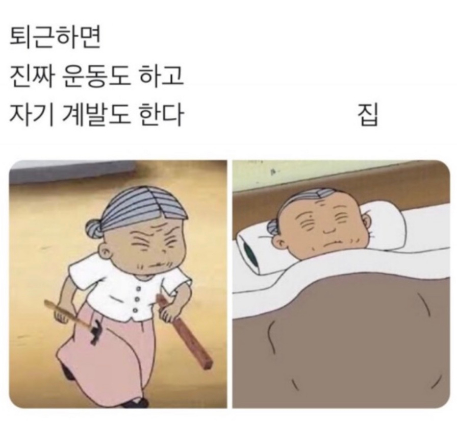369@돌삼겹 이미지
