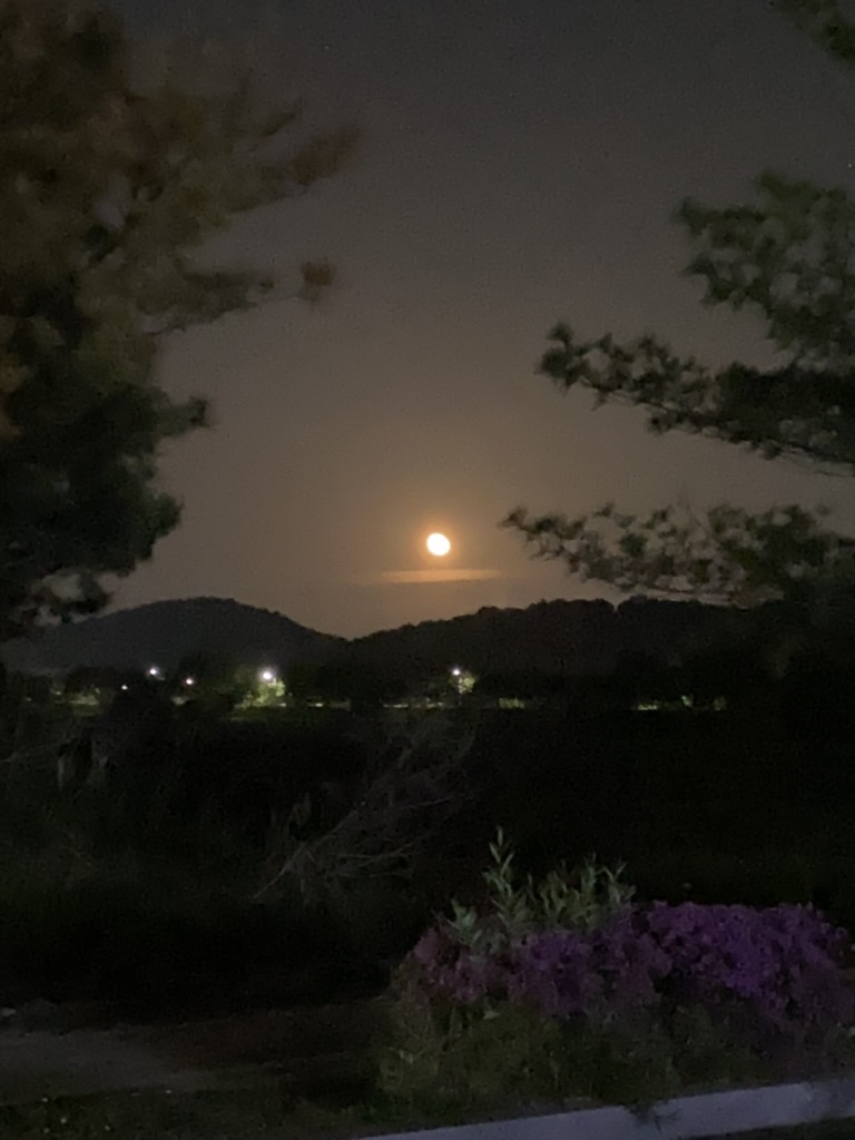 더브러마트 이미지