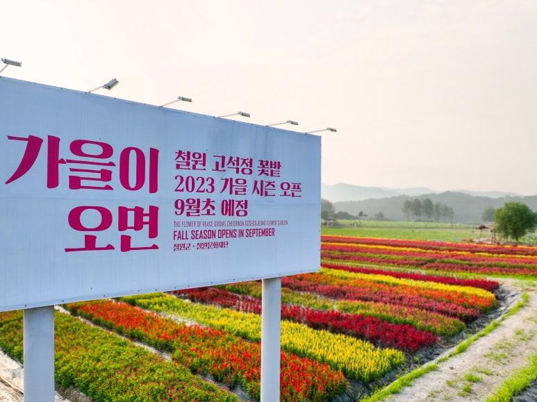 정식꽃밭 이미지