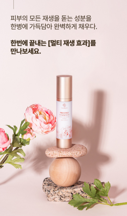 코코클릭 이미지