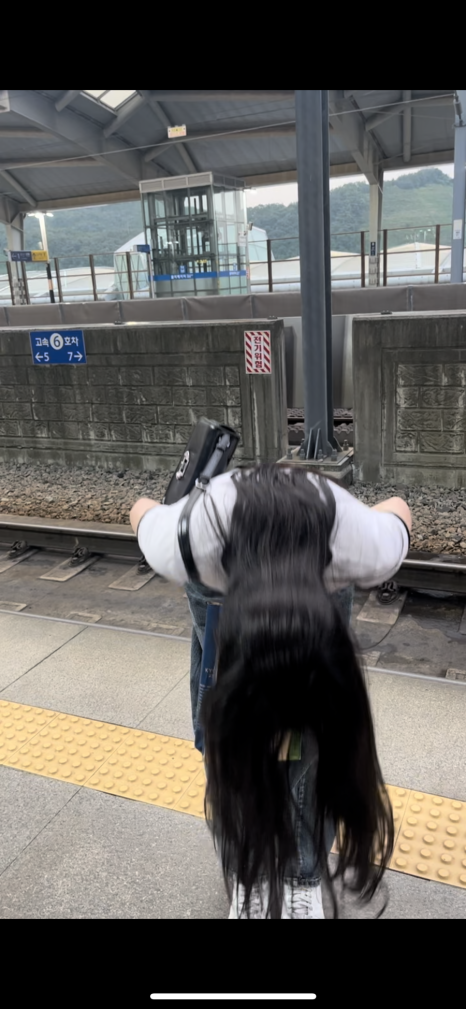 재원꽃게 이미지