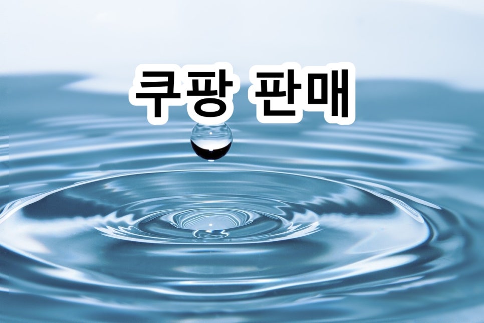 제이엠와이 이미지