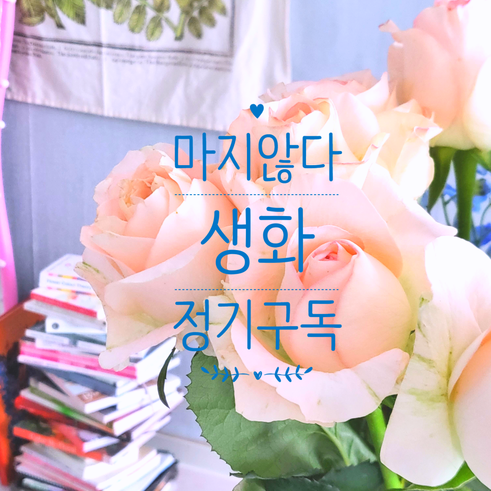 마지않다 이미지