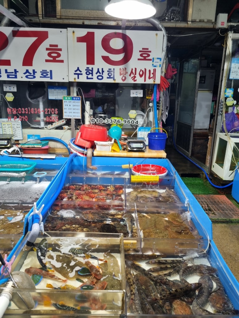 수현상회 이미지