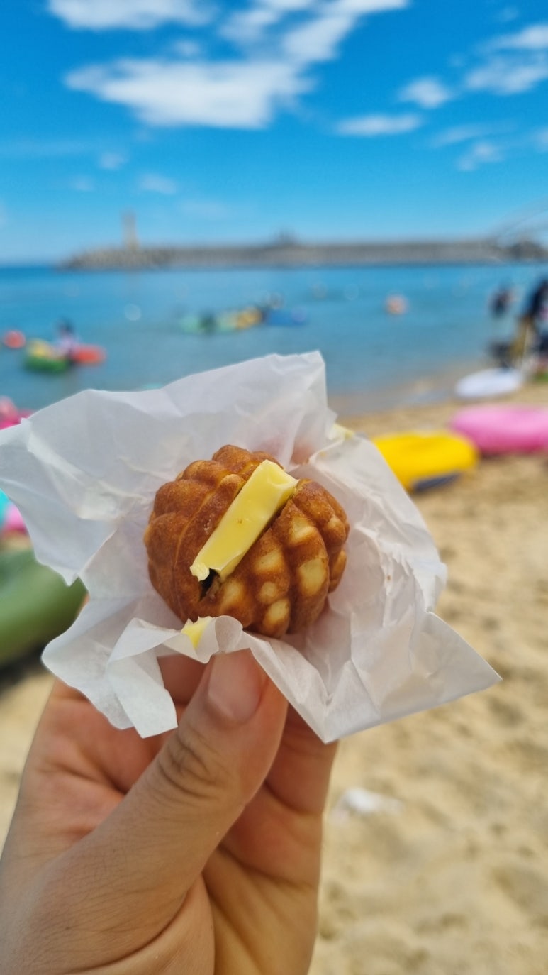 복호두 이미지