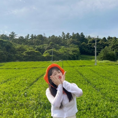 아이스크림스토리서귀포 이미지