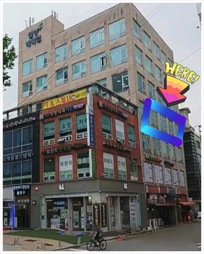 헤어망고 이미지