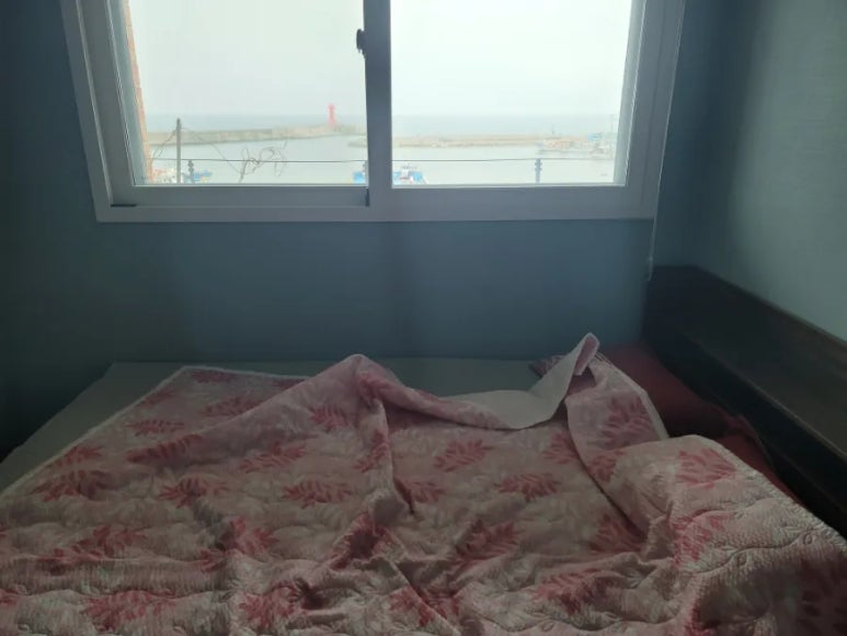 까사콩새 이미지