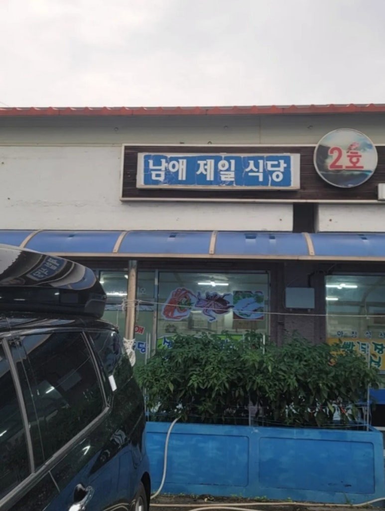 까사콩새 이미지