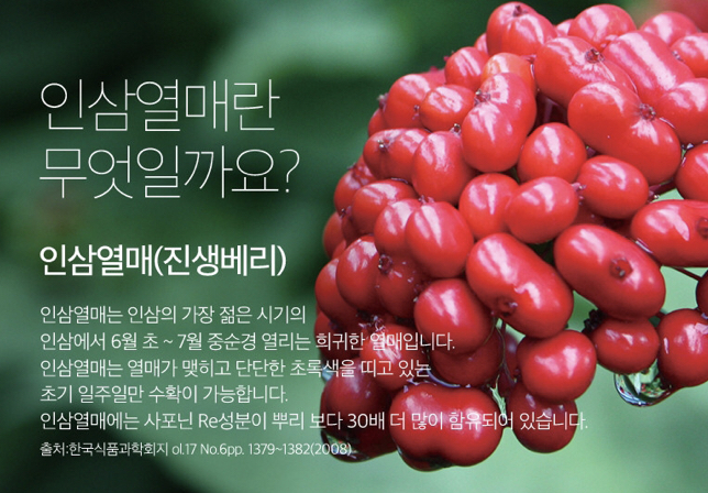 인삼열매(주) 이미지