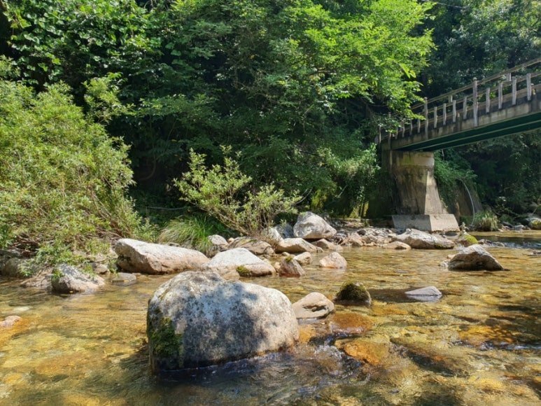 새말상회 이미지