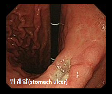 감일든든한내과 이미지