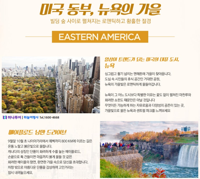여행사 하나로드 이미지