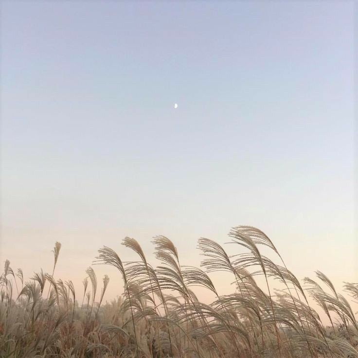 라빛 이미지
