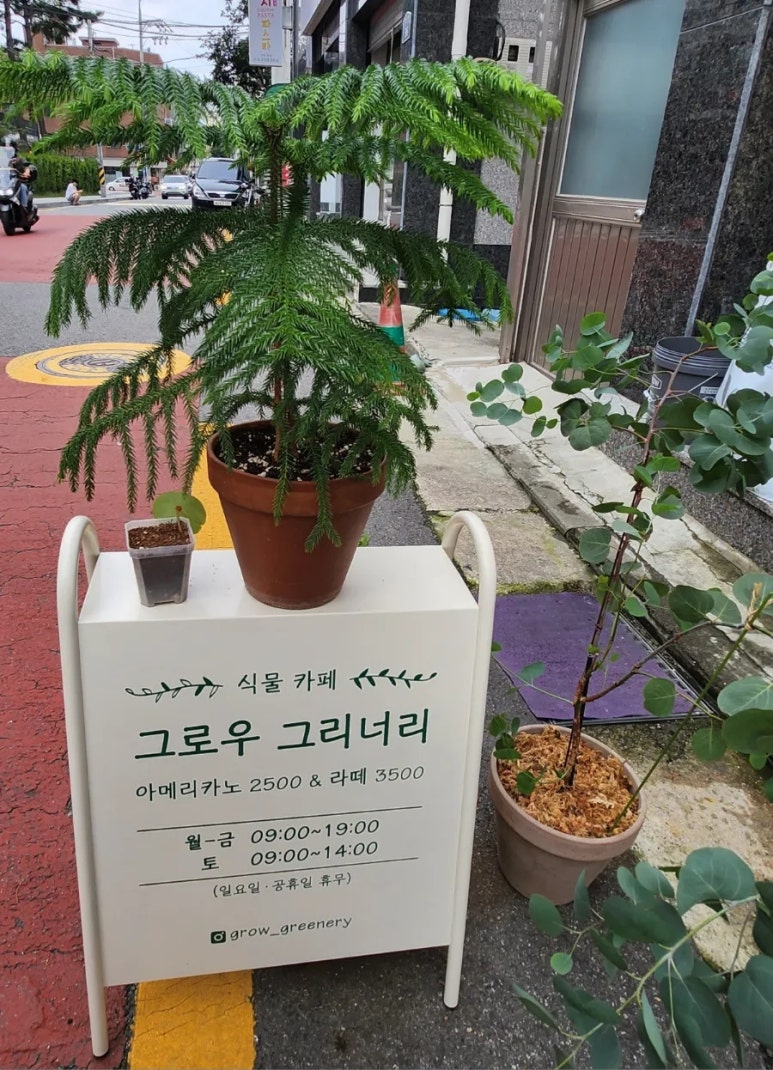 그로우 그리너리 이미지