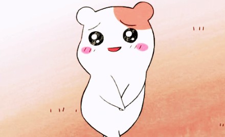 카페헤세드 이미지