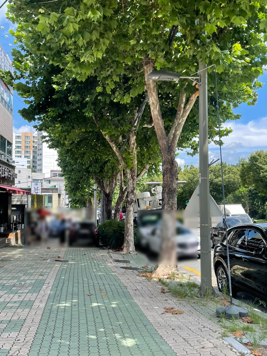 대호돼지국밥 이미지