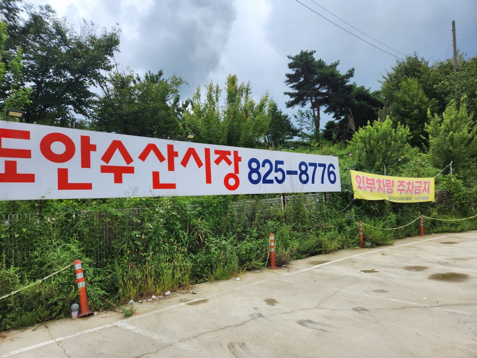 도안수산식당 이미지