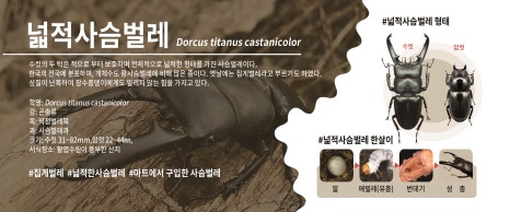 (주)홈플러스 울산동구점 이미지