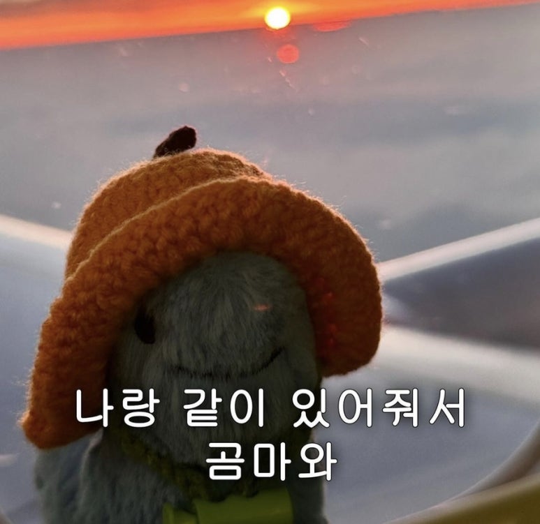 (주)디엠 이미지