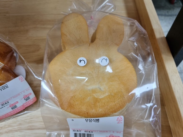 달곰베이커리 이미지