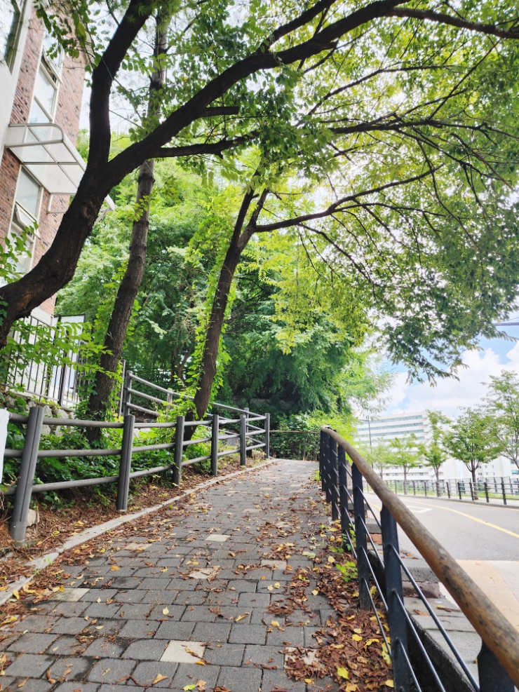 금호산 유아숲체험원 이미지