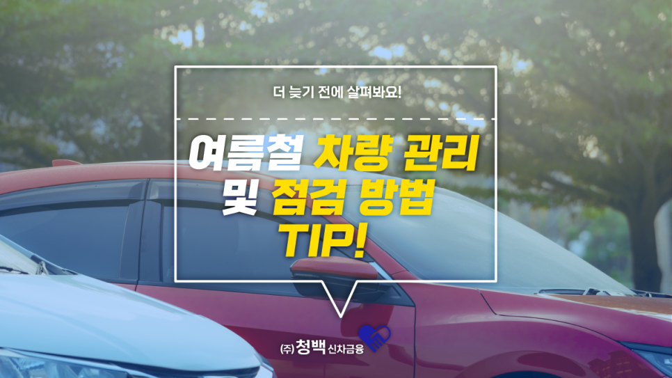 청백신차금융 이미지