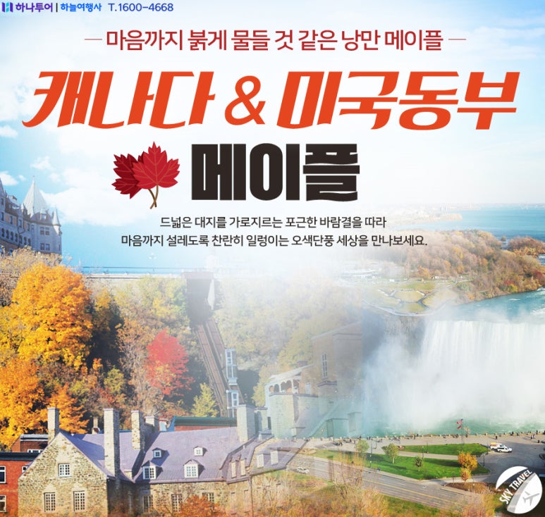 여행사 하나로드 이미지
