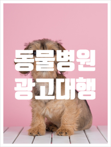 위너컴퍼니 이미지