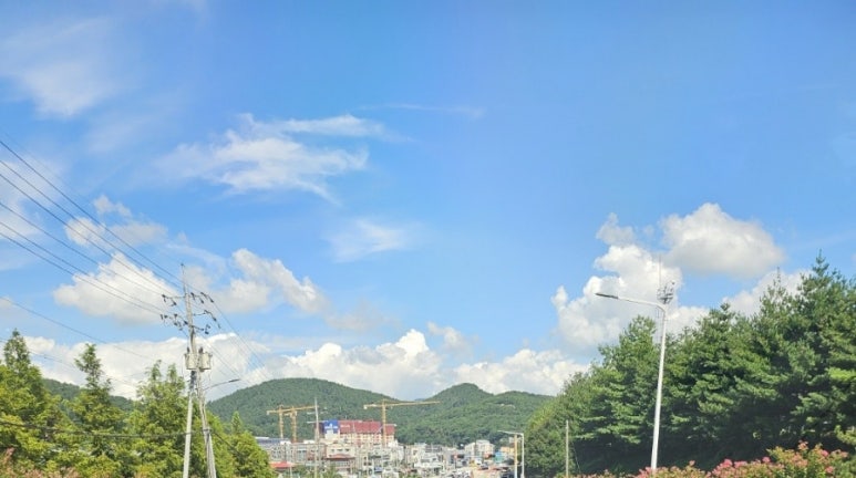 토탈스팀세차 이미지