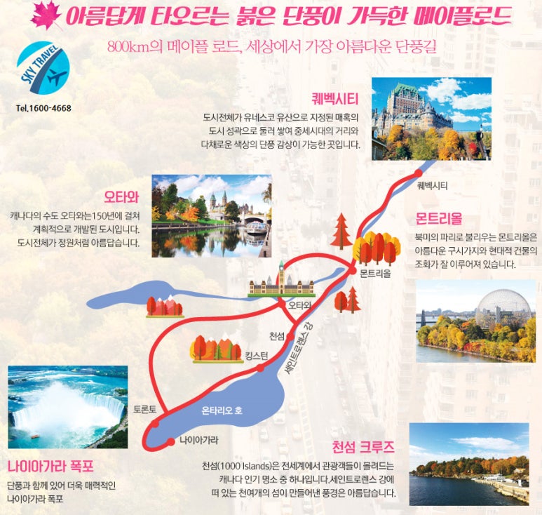 여행사 하나로드 이미지