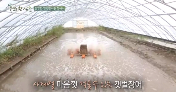 강화갯벌장어영어조합법인 이미지