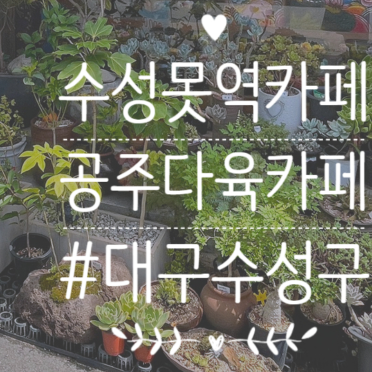 공주다육카페 이미지