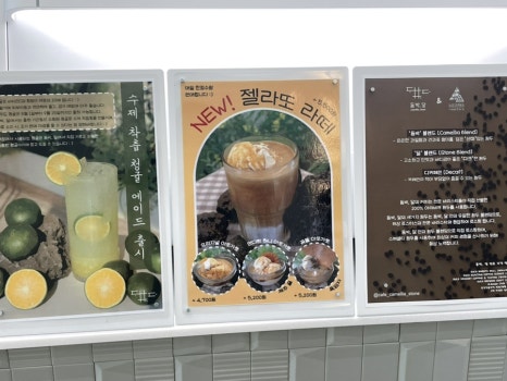 돔박;달 이미지
