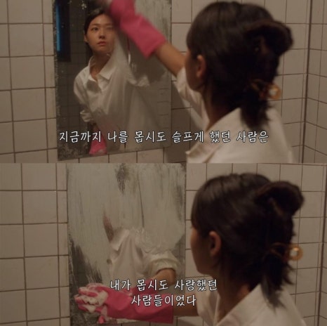 오데이지 이미지