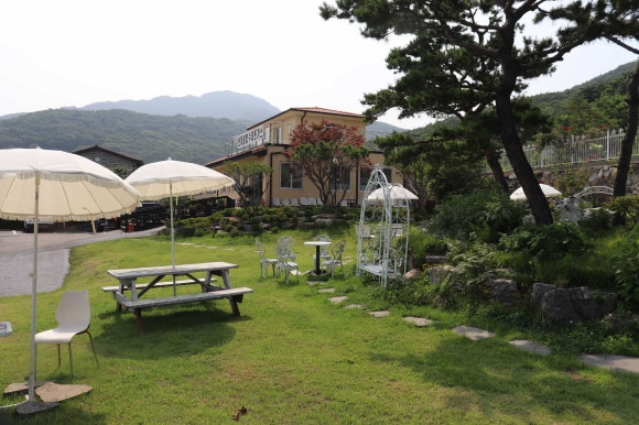 마니산도토리 이미지