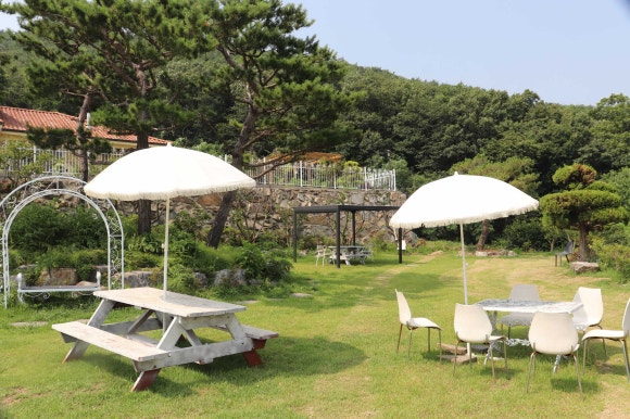 마니산도토리 이미지