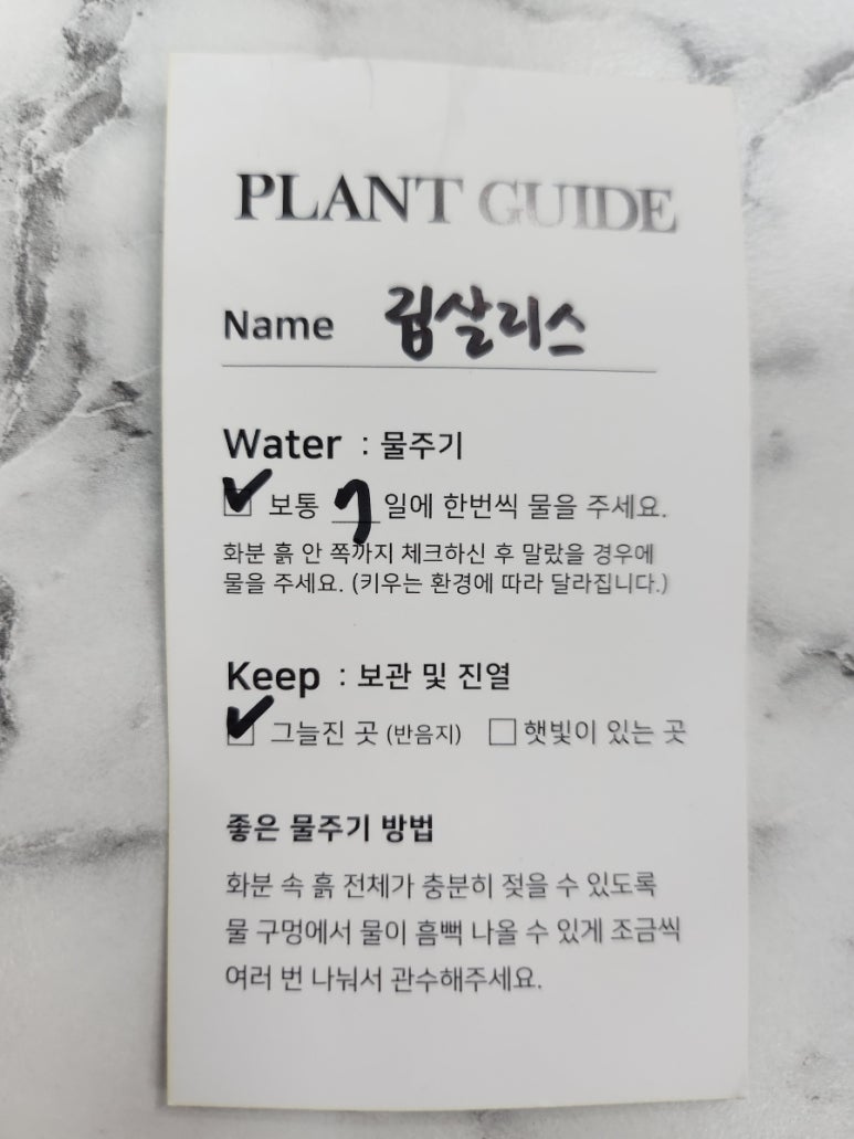 오브무드플라워 이미지