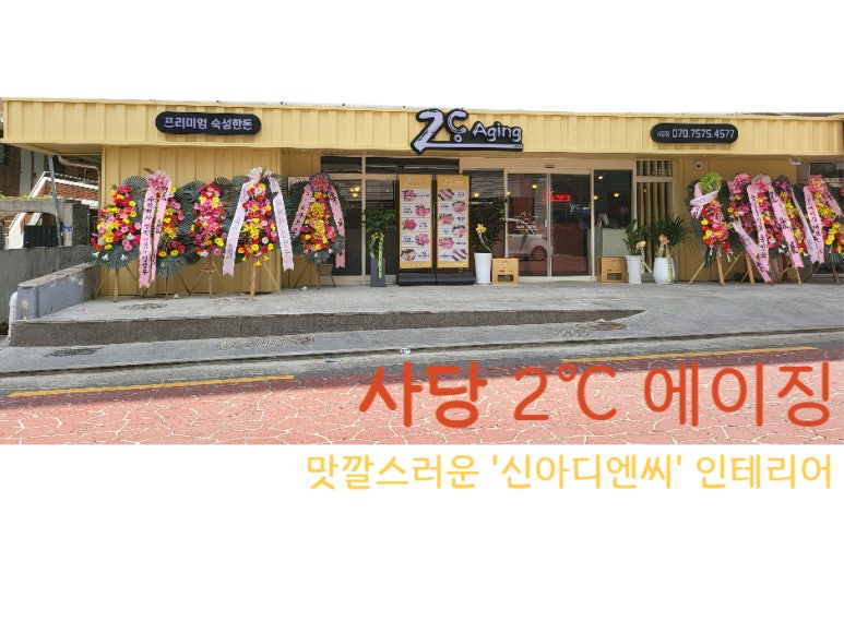 이도디엔씨 이미지