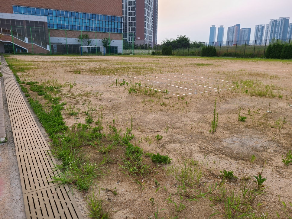인천송담초등학교 이미지