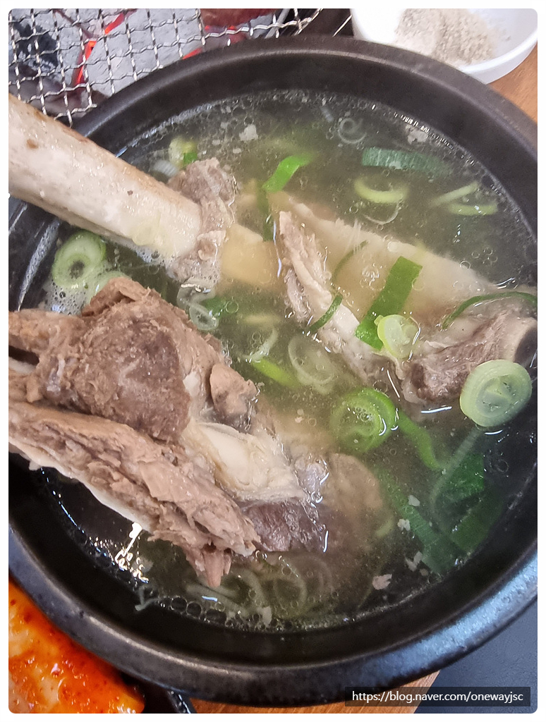 청년장어 이미지