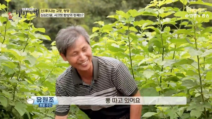 엄지척불고기백반 이미지