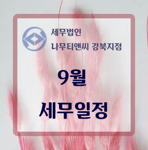 세무법인나무 이미지