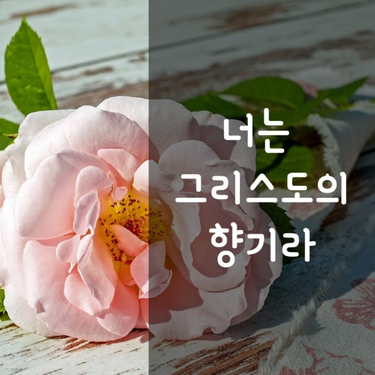 그릿시냇가 이미지