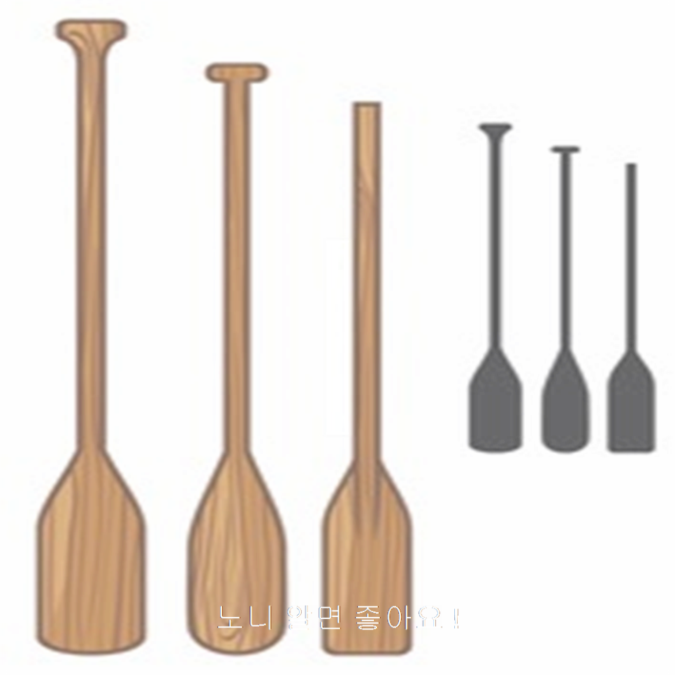장수 엽록소 이미지