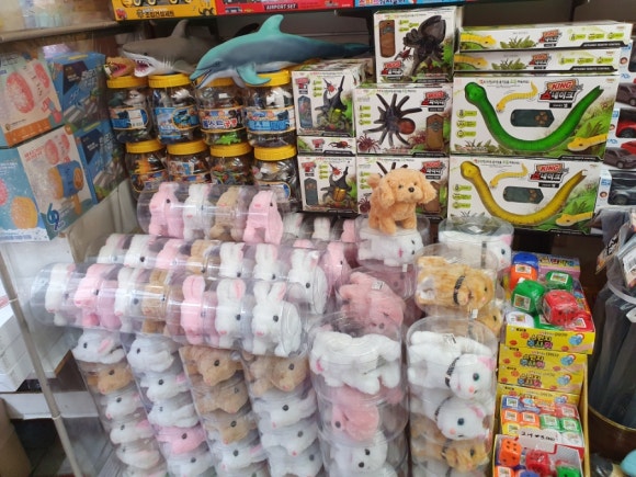 선일이벤트 이미지