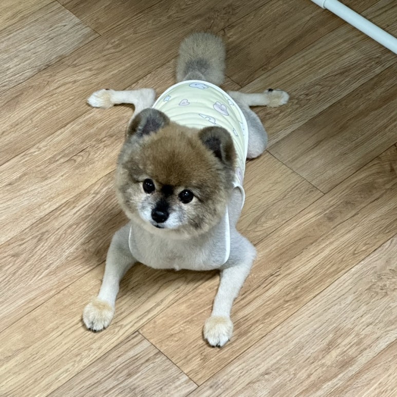 고을축산물프라자 이미지