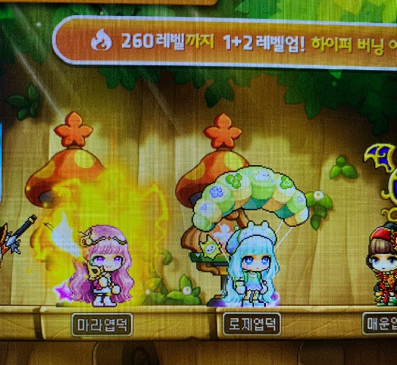 델리상회 이미지